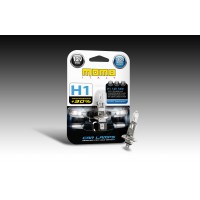 Ampoules H1 Performance - Momo